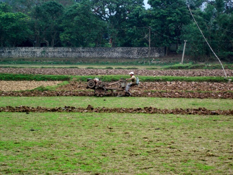Tractor?