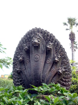 Naga