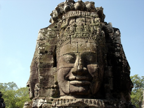 Close-up