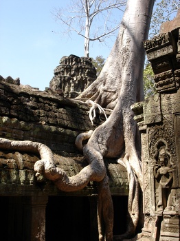 Ta Prohm
