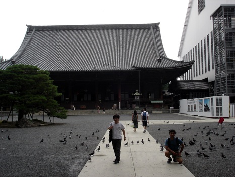 Pat and Nishi-hongan-ji