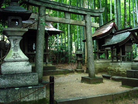Shrine and stone lantern