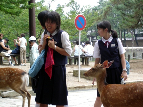 Schoolgirls + deer = ... 