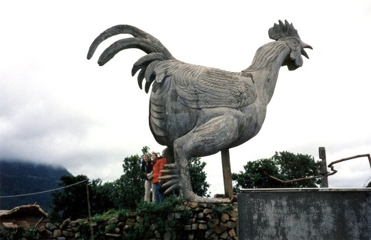 Chicken Village