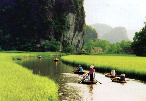 Rice paddies in Ninh Binh
