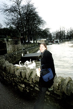 MP & Swans 