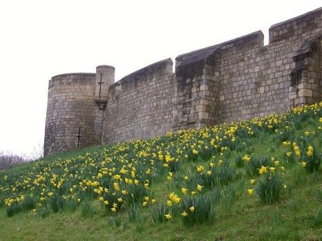 York medieval walls