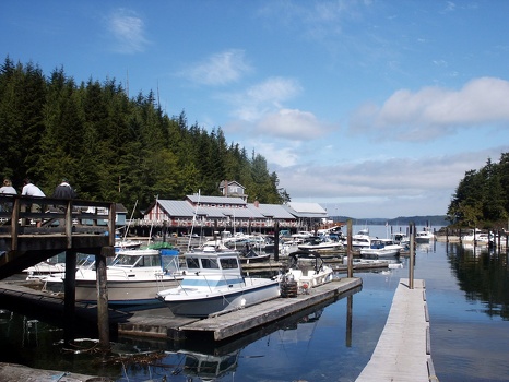 Back in Telegraph Cove