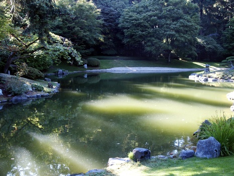 Japanese garden II