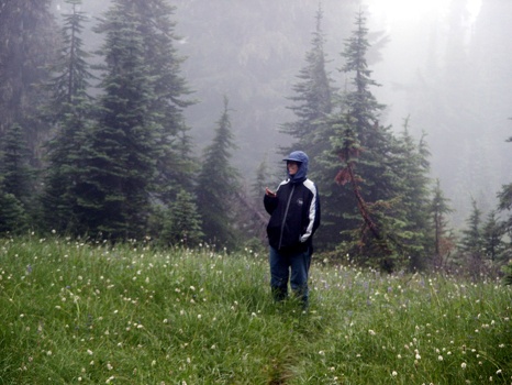 MP in wet meadow II