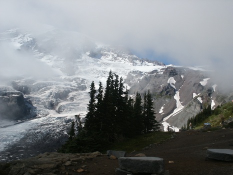Glacier behind trees