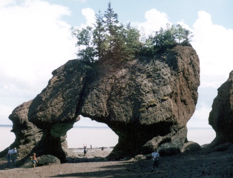 Hopewell Rocks II