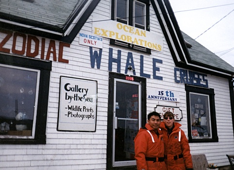 Zodiak whale watching