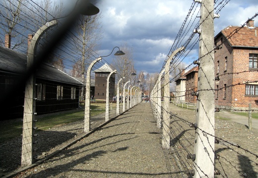 Chilling horror of history in Auschwitz, Poland 2008