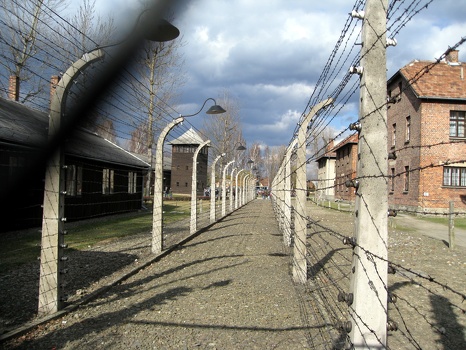 Auschwitz, the "final solution"