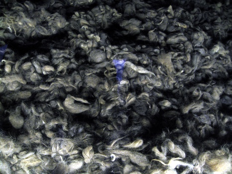 Human hair to make wool
