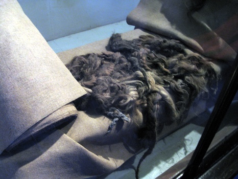Hair Cloth