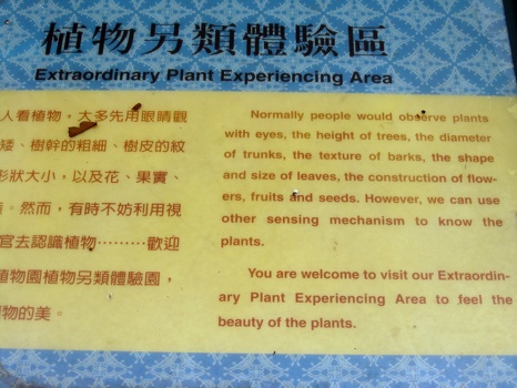 Extraordinary Plant Experiencing Area