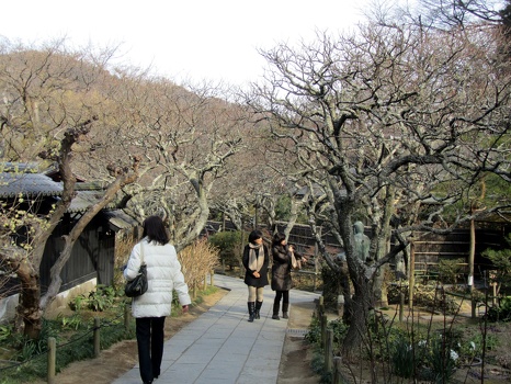 Kamakura