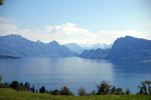 Lucerne