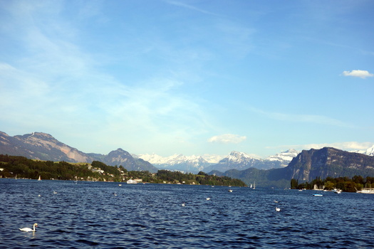 Lucerne