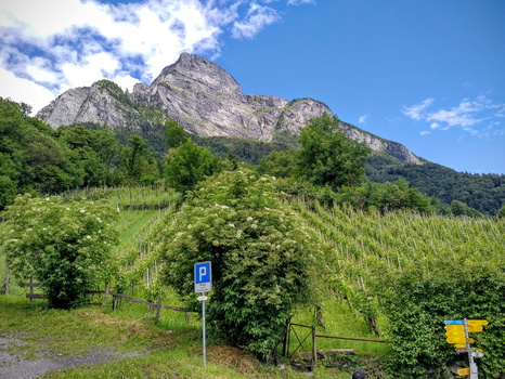 Hike in Gonzen