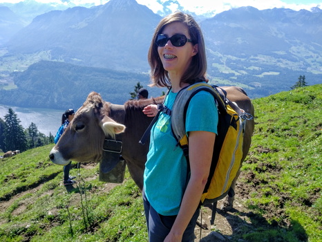 MP hiking Mount Pilatus with the cows