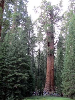General Sherman