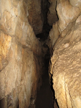 IMG 0767