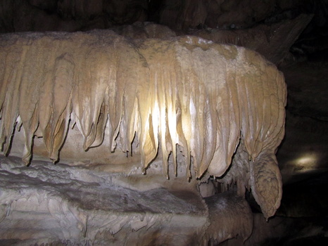 IMG 0795