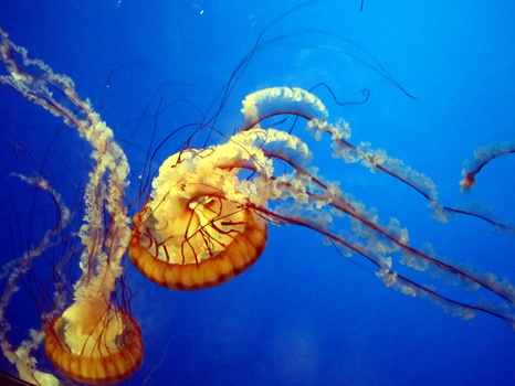 IMG 0880