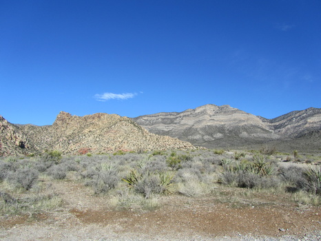 IMG 0175