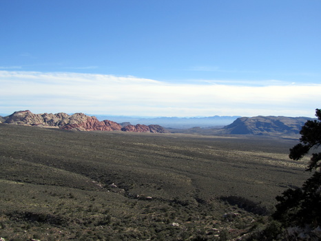 IMG 0210