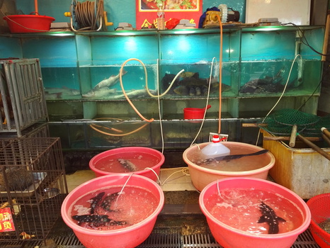 Fish Market at Guilin