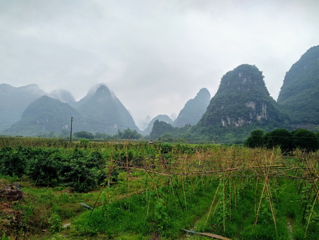Yangshuo rice paddies