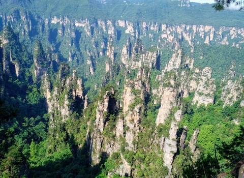 Zhangjiajie Stone Forest