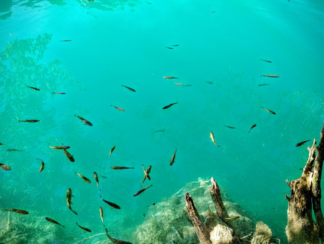The colour at Plitvice National Park