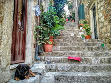 A lot of stairs in Dubrovnik