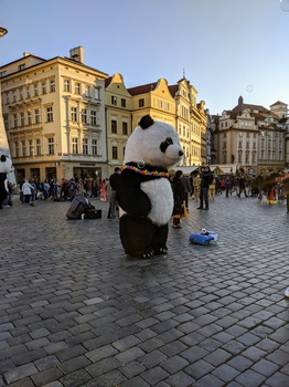 Panda in Old Town Square, Prague