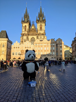 Panda in Old Town Square