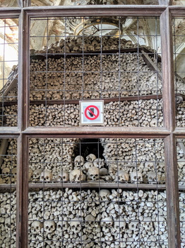 Human skulls in Sedlec Ossuary 