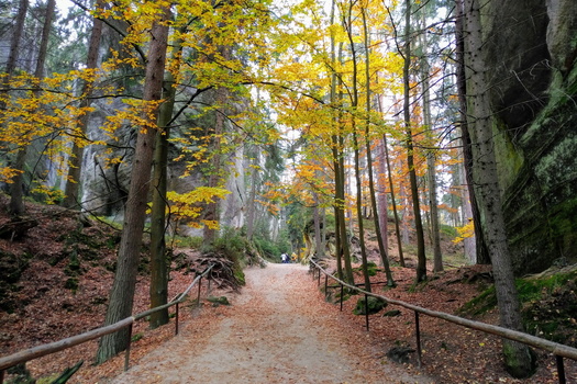Adršpach-Teplice Rocks