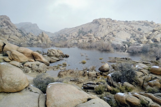 Joshua Tree National Park