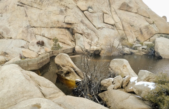 Joshua Tree National Park