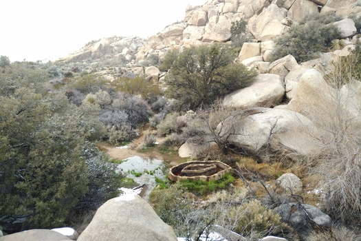 Joshua Tree National Park