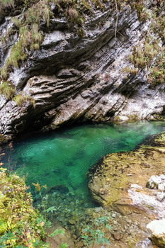Elephant /Elefantenkopf loop from Stara Fužina