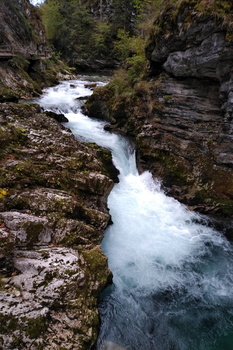 Elephant /Elefantenkopf loop from Stara Fužina
