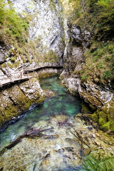 Elephant /Elefantenkopf loop from Stara Fužina