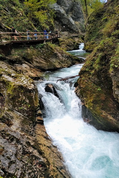 Elephant /Elefantenkopf loop from Stara Fužina