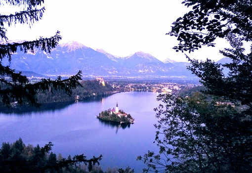 Bled